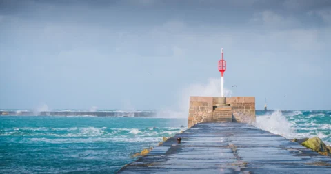 Illustration pour le programme Filière Bleue - GALPA Presqu'Ile du Cotentin